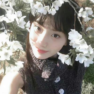 赞美皮蒂