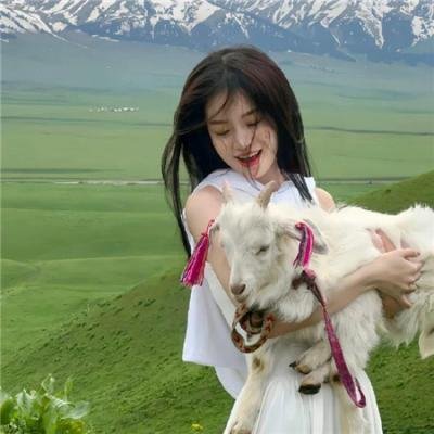 派特森与芬达猫